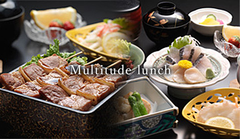Multitude lunch